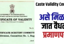 मराठा विद्यार्थ्यांनो आपलीही होतेय जातप्रमाणपत्र वैधता पडताळणी ; अशी करा आपली जातप्रमाणपत्र पडताळणी