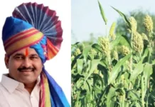 धन्यवाद आमदारसाहेब ! ज्वारीच्या कोठाराकडे जाणाऱ्या रस्त्याचे काम सुरु – आमदार आवताडे यांचेमुळे शेतकऱ्यांच्या चेहऱ्यावर समाधान